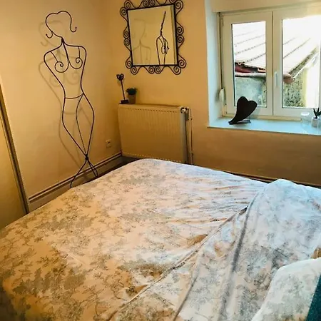 Au Calme 4 Pers. Dans Maison Lorraine Renovee Appartement Macheren